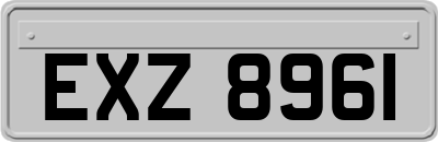 EXZ8961
