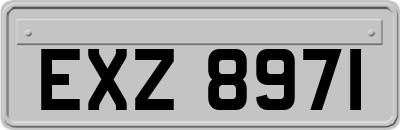 EXZ8971