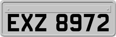 EXZ8972