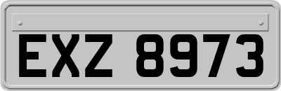 EXZ8973
