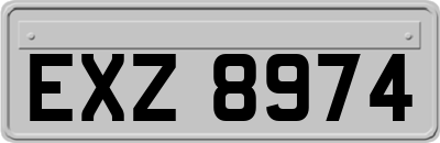 EXZ8974