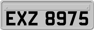 EXZ8975