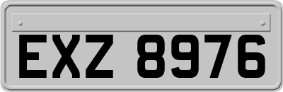 EXZ8976
