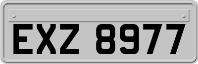 EXZ8977