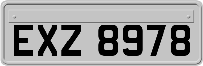 EXZ8978