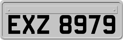 EXZ8979