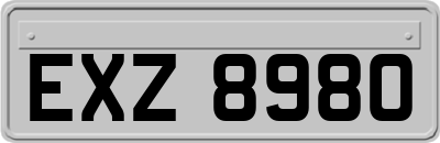 EXZ8980