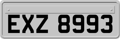 EXZ8993