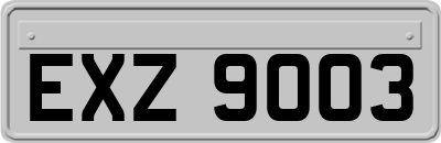 EXZ9003