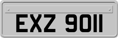 EXZ9011