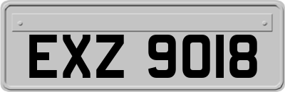 EXZ9018