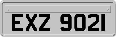 EXZ9021
