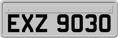 EXZ9030