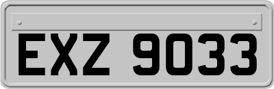 EXZ9033