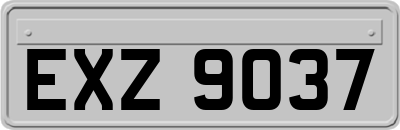 EXZ9037