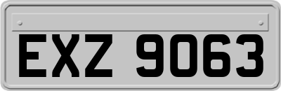 EXZ9063