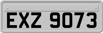 EXZ9073