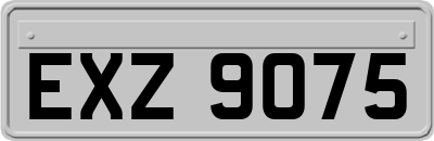 EXZ9075