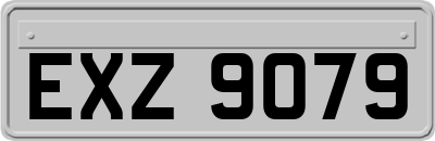 EXZ9079