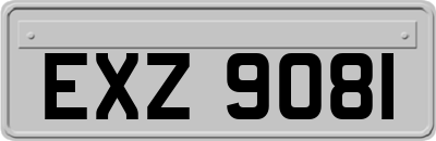 EXZ9081