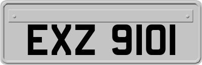 EXZ9101