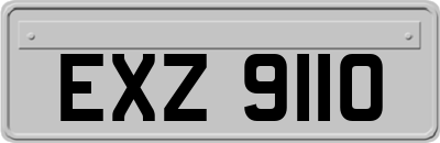 EXZ9110