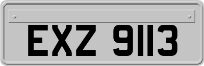 EXZ9113