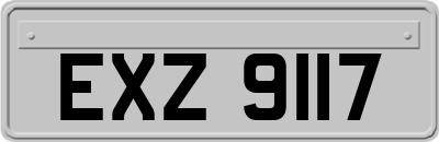 EXZ9117