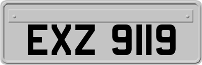 EXZ9119