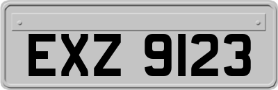 EXZ9123