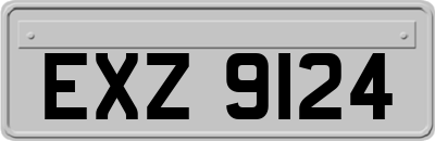 EXZ9124
