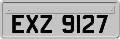 EXZ9127