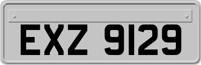 EXZ9129