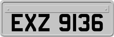 EXZ9136