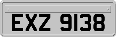 EXZ9138
