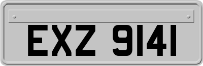 EXZ9141