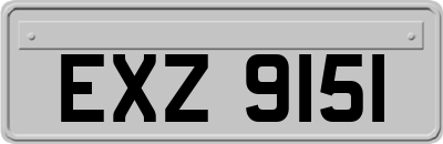 EXZ9151