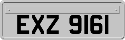 EXZ9161