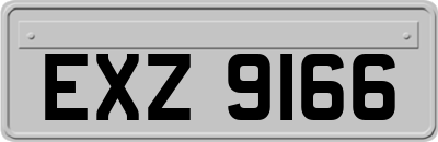 EXZ9166