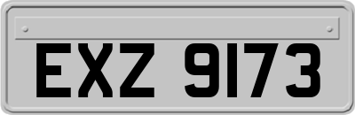 EXZ9173