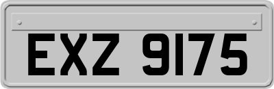 EXZ9175