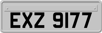 EXZ9177