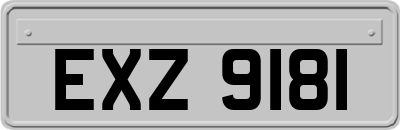 EXZ9181