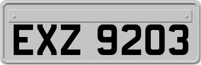 EXZ9203