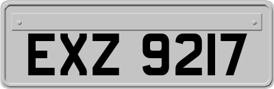EXZ9217