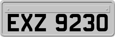 EXZ9230