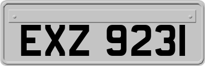 EXZ9231