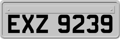 EXZ9239