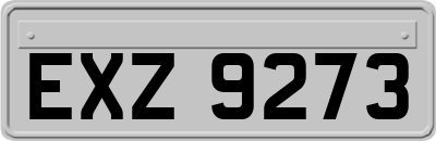 EXZ9273
