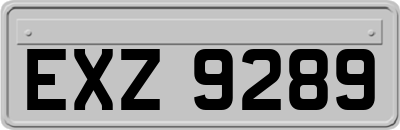 EXZ9289